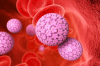 HPV-rokote suojaa turvallisesti syövän esiasteilta
